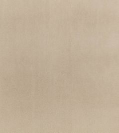 Todd Fabric by Zinc Linen Todd Fabric by Zinc Linen