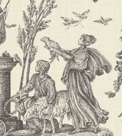 Toile Baptiste Wallpaper by Lewis & Wood Douce Noir Toile Baptiste Wallpaper by Lewis & Wood Douce Noir