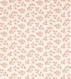 Tomato Leaf Wallpaper by Sanderson Pink Clay Tomato Leaf Wallpaper by Sanderson Pink Clay