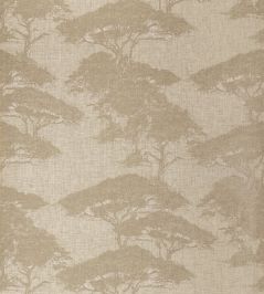 Torrey Pines Wallpaper by Thibaut Champagne Torrey Pines Wallpaper by Thibaut Champagne