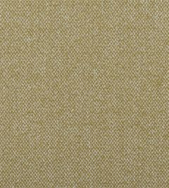 Torrington Fabric by Designers Guild Ochre Torrington Fabric by Designers Guild Ochre