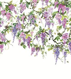 Trailing Wisteria Mural by Ohpopsi Amethyst Trailing Wisteria Mural by Ohpopsi Amethyst