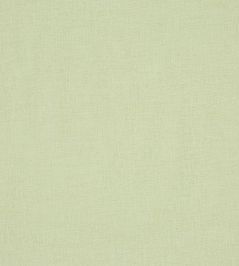 Tranquil Fabric by Prestigious Textiles Apple Tranquil Fabric by Prestigious Textiles Apple