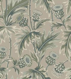 Treasured Thistle Wallpaper by Borastapeter 74 Treasured Thistle Wallpaper by Borastapeter 74