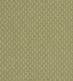 Trelica Fabric by Clarke & Clarke Olive Trelica Fabric by Clarke & Clarke Olive