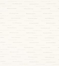 Trewyn Fabric by Designers Guild Chalk Trewyn Fabric by Designers Guild Chalk