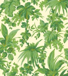 Tropical Wallpaper by Jannelli&Volpi Green Tropical Wallpaper by Jannelli&Volpi Green