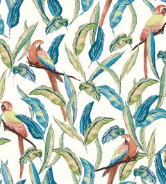 Tropical Parrot Wallpaper by Ohpopsi Wilderness White Tropical Parrot Wallpaper by Ohpopsi Wilderness White