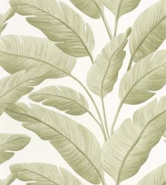 Tropicalia Wallpaper by Caselio Amande Tropicalia Wallpaper by Caselio Amande