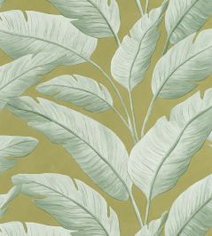 Tropicalia Wallpaper by Caselio Kaki Tropicalia Wallpaper by Caselio Kaki