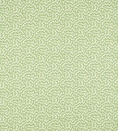 Truffle Fabric by Sanderson Sap Green Truffle Fabric by Sanderson Sap Green