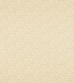 Truffle Fabric by Sanderson Wheat Truffle Fabric by Sanderson Wheat