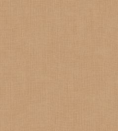 Tulle Wallpaper by Arte Ginger Tulle Wallpaper by Arte Ginger