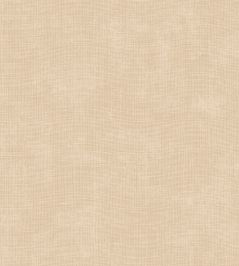 Tulle Wallpaper by Arte Nude Tulle Wallpaper by Arte Nude