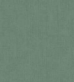 Tulle Wallpaper by Arte Pine Tulle Wallpaper by Arte Pine