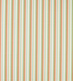 Tutti Fruity Fabric by Clarke & Clarke Spice Tutti Fruity Fabric by Clarke & Clarke Spice