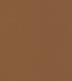 Uni Gaze Wallpaper by Caselio Caramel Uni Gaze Wallpaper by Caselio Caramel