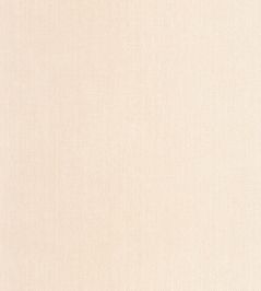 Uni Mat Wallpaper by Caselio Beige Coquille Uni Mat Wallpaper by Caselio Beige Coquille