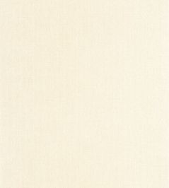 Uni Mat Wallpaper by Caselio Ecru Uni Mat Wallpaper by Caselio Ecru