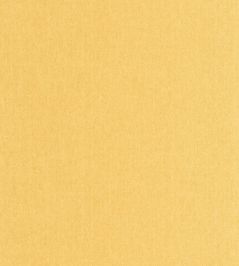 Uni Mat Wallpaper by Caselio Ocre Uni Mat Wallpaper by Caselio Ocre