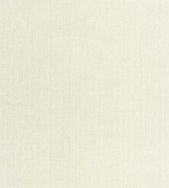 Uni Mat Wallpaper by Caselio Vert Lichen Uni Mat Wallpaper by Caselio Vert Lichen