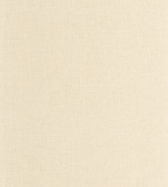 Uni Mat II Wallpaper by Caselio Avoine Uni Mat II Wallpaper by Caselio Avoine