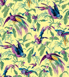 V&A Manaus Fabric by Arley House Citrus V&A Manaus Fabric by Arley House Citrus