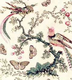 V&A Paradise Fabric by Arley House Cerise V&A Paradise Fabric by Arley House Cerise