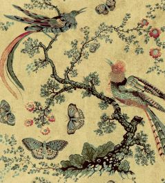 V&A Paradise Fabric by Arley House Honey V&A Paradise Fabric by Arley House Honey
