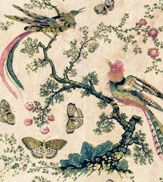 V&A Paradise Fabric by Arley House Rose V&A Paradise Fabric by Arley House Rose