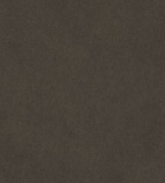 Vaquero Fabric by Warwick Aniline Vaquero Fabric by Warwick Aniline