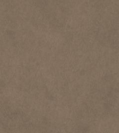 Vaquero Fabric by Warwick Fawn Vaquero Fabric by Warwick Fawn