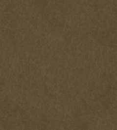 Vaquero Fabric by Warwick Racing Vaquero Fabric by Warwick Racing