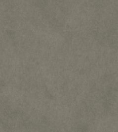 Vaquero Fabric by Warwick Seal Vaquero Fabric by Warwick Seal