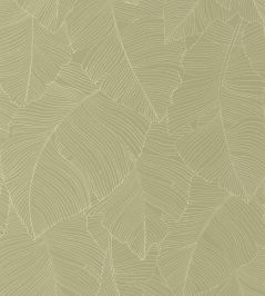 Vegetalia Wallpaper by Caselio Kaki Vegetalia Wallpaper by Caselio Kaki