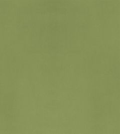 Velluto Stretto Fabric by Designers Guild Apple Velluto Stretto Fabric by Designers Guild Apple