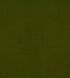 Velluto Stretto Fabric by Designers Guild Moss Velluto Stretto Fabric by Designers Guild Moss