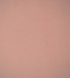 Velluto Stretto Fabric by Designers Guild Pale Rose Velluto Stretto Fabric by Designers Guild Pale Rose