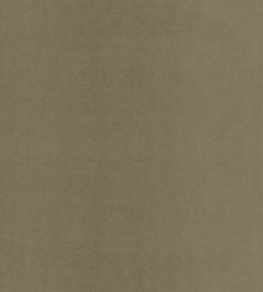 Velluto Stretto Fabric by Designers Guild Roebuck Velluto Stretto Fabric by Designers Guild Roebuck