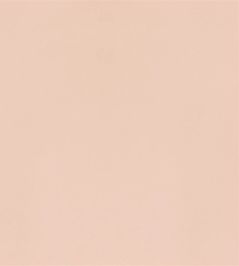 Velluto Fabric by Designers Guild Shell Velluto Fabric by Designers Guild Shell