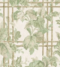 Verdant Trellis Wallpaper by Woodchip & Magnolia Laurel Verdant Trellis Wallpaper by Woodchip & Magnolia Laurel
