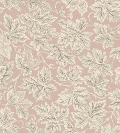 Vine Leaf Wallpaper by Farrow & Ball Pink Vine Leaf Wallpaper by Farrow & Ball Pink