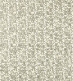 Virgata Fabric by Clarke & Clarke Fern Virgata Fabric by Clarke & Clarke Fern