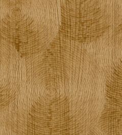 Volute Wallpaper by Elitis Y Faire Son Miel Volute Wallpaper by Elitis Y Faire Son Miel