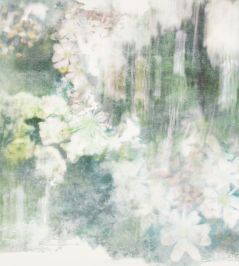 Wander Fabric by Villa Nova Haze Wander Fabric by Villa Nova Haze