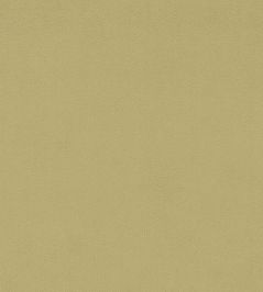 Wardle Velvet Fabric by Morris & Co Citrus Stone Wardle Velvet Fabric by Morris & Co Citrus Stone
