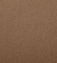 Amatheon FR Fabric by Warwick EARTH Amatheon FR Fabric by Warwick EARTH