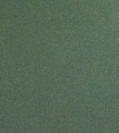 Amatheon FR Fabric by Warwick MEADOW Amatheon FR Fabric by Warwick MEADOW