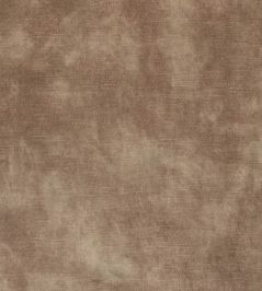 Lovely Fabric by Warwick Latte Lovely Fabric by Warwick Latte