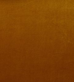 Mystere Fabric by Warwick GOLD Mystere Fabric by Warwick GOLD